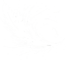 Montra Studios logo